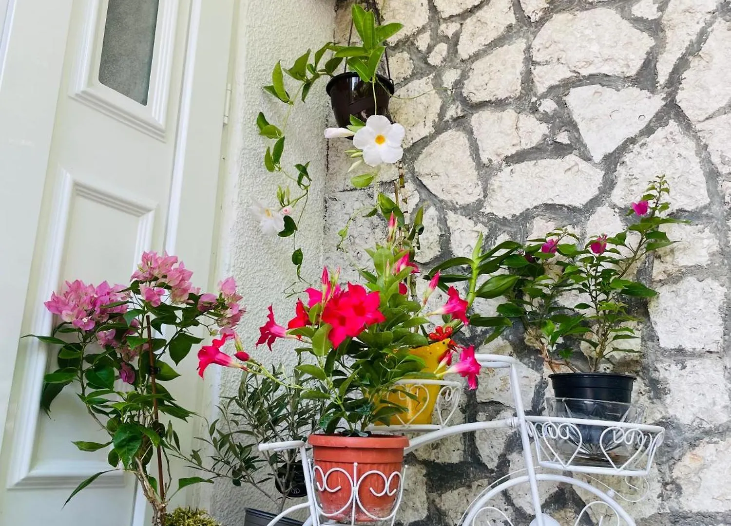 Guest House Blago Varna 0*,  Bulgaria